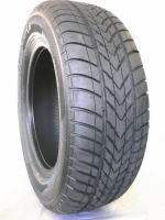 Летние шины Accelera Epsilon