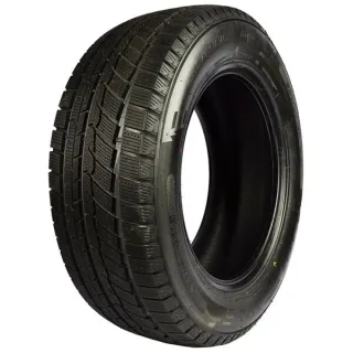 Зимние шины Austone SP-901