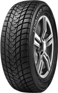Зимние шины Delinte Winter Wd1