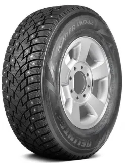 Зимние шины Delinte Winter Wd42