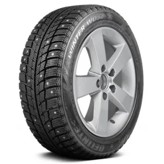 Зимние шины Delinte Winter Wd52