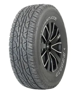 Всесезонные шины Dunlop Grandtrek AT3