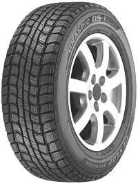 Зимние шины Dunlop Graspic DS1