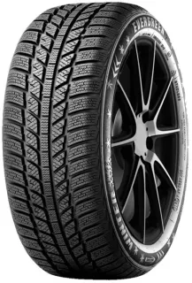 Зимние шины Evergreen EW62