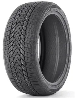 Зимние шины Fronway Icemaster I