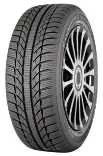 Зимние шины GT Radial Champiro Winterpro
