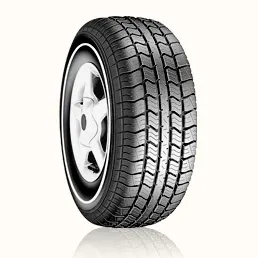 Летние шины Nexen SB650