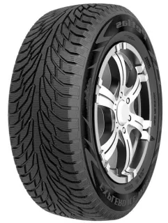 Зимние шины Petlas Explero Ice W681