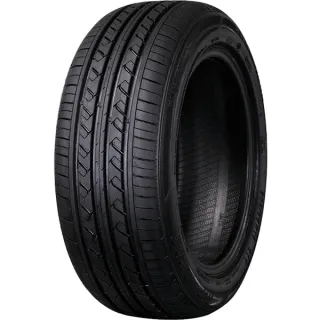 Летние шины Rapid P309
