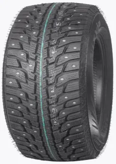 Зимние шины Roadboss WS001