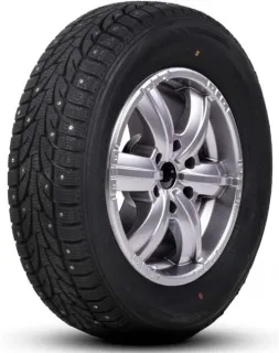 Зимние шины Roadx Frost Wcs01