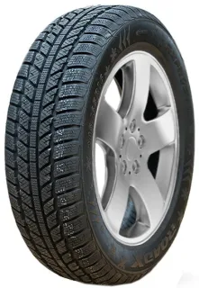 Зимние шины Roadx RXFrost WH01