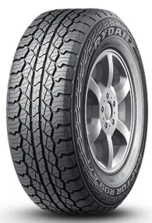 Летние шины Rydanz Raptor R09